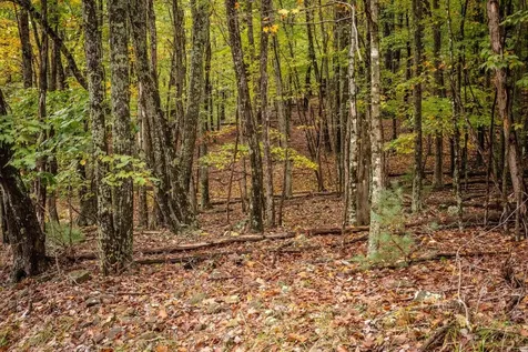 0-22.72 Ac Dry Run Road Sugar Grove WV 26815