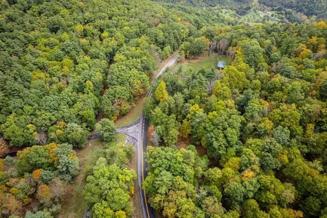 0-22.72 Ac Dry Run Road Sugar Grove WV 26815
