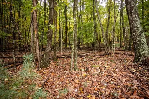 0-22.72 Ac Dry Run Road Sugar Grove WV 26815