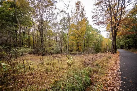 0-22.72 Ac Dry Run Road Sugar Grove WV 26815