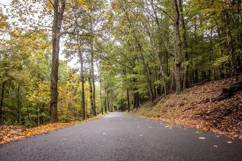 0-22.72 Ac Dry Run Road Sugar Grove WV 26815