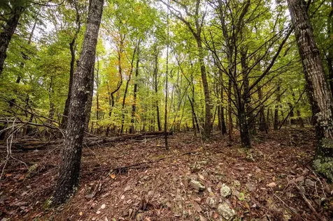 0-8.87 Ac Dry Run Road Sugar Grove WV 26815
