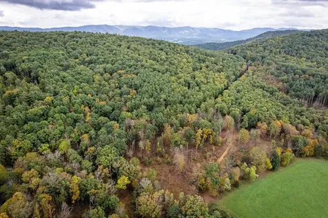 0-8.87 Ac Dry Run Road Sugar Grove WV 26815