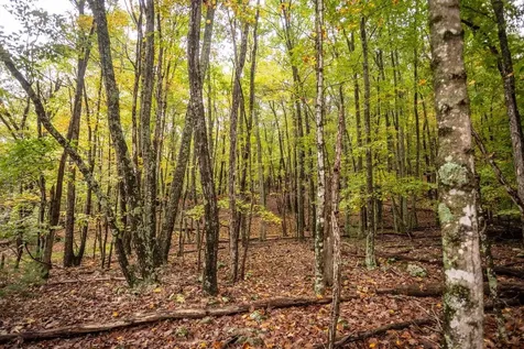 0-8.87 Ac Dry Run Road Sugar Grove WV 26815