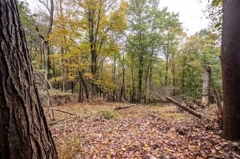 0-8.87 Ac Dry Run Road Sugar Grove WV 26815