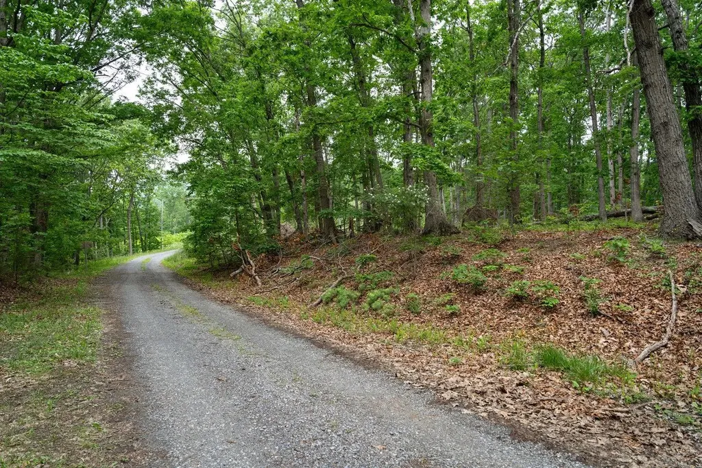 Off N View Drive N Stanley VA 22851