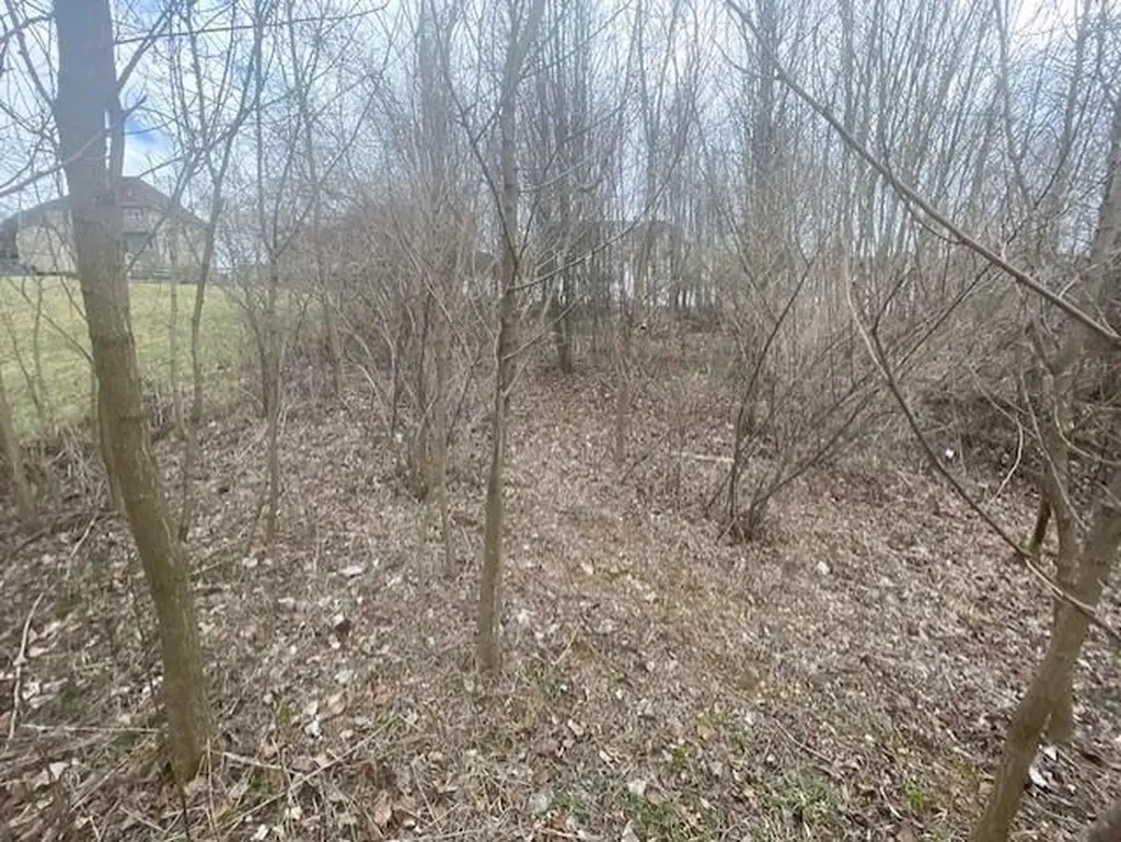0 Long Meadow Road Fishersville VA 22939