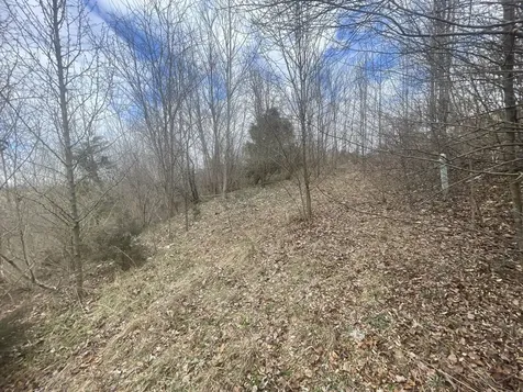 0 Long Meadow Road Fishersville VA 22939