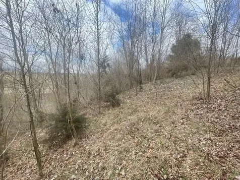 0 Long Meadow Road Fishersville VA 22939