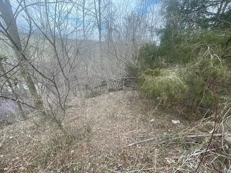 0 Long Meadow Road Fishersville VA 22939