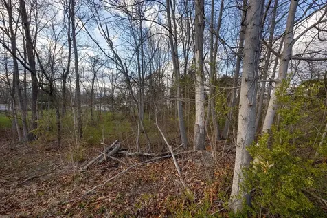 0 Prospect Avenue E Elkton VA 22827