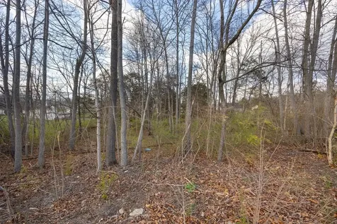 0 Prospect Avenue E Elkton VA 22827