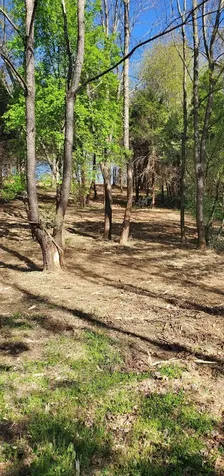 12 Crown Ridge Berry Farm Road Staunton VA 24401