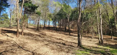 12 Crown Ridge Berry Farm Road Staunton VA 24401