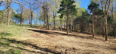 12 Crown Ridge Berry Farm Road Staunton VA 24401