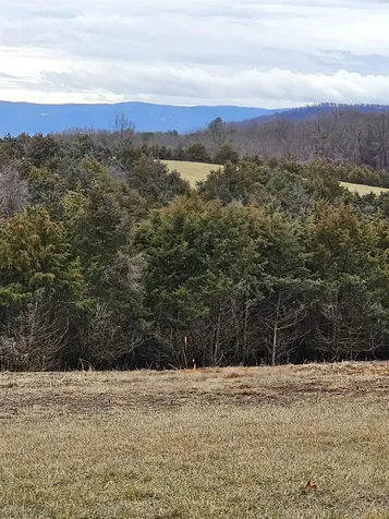 4 Crown Ridge Berry Farm Road Staunton VA 24401