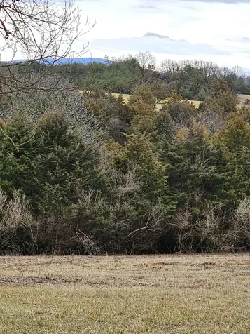 4 Crown Ridge Berry Farm Road Staunton VA 24401