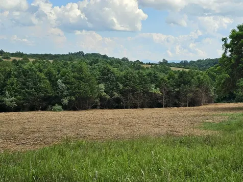 4 Crown Ridge Berry Farm Road Staunton VA 24401