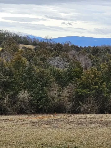 4 Crown Ridge Berry Farm Road Staunton VA 24401