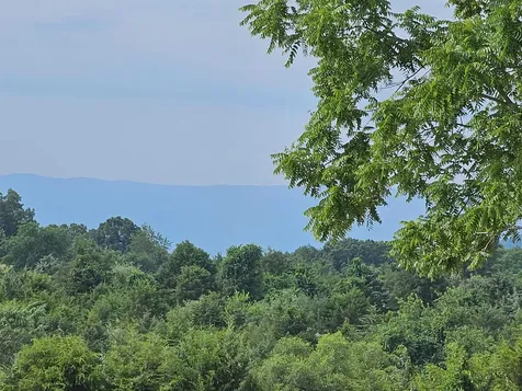 4 Crown Ridge Berry Farm Road Staunton VA 24401