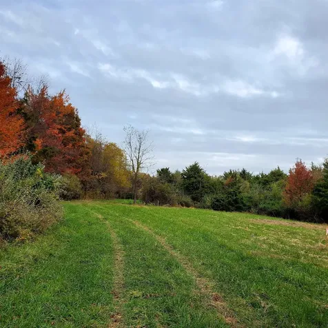 4 Crown Ridge Berry Farm Road Staunton VA 24401