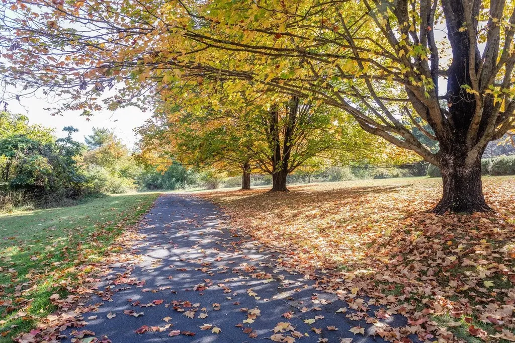 71 First Street Fishersville VA 22939