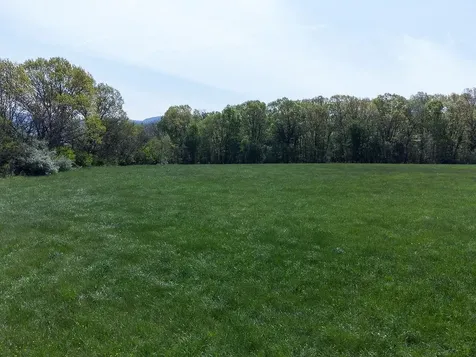 Tbd Bosley Drive S Stanley VA 22851