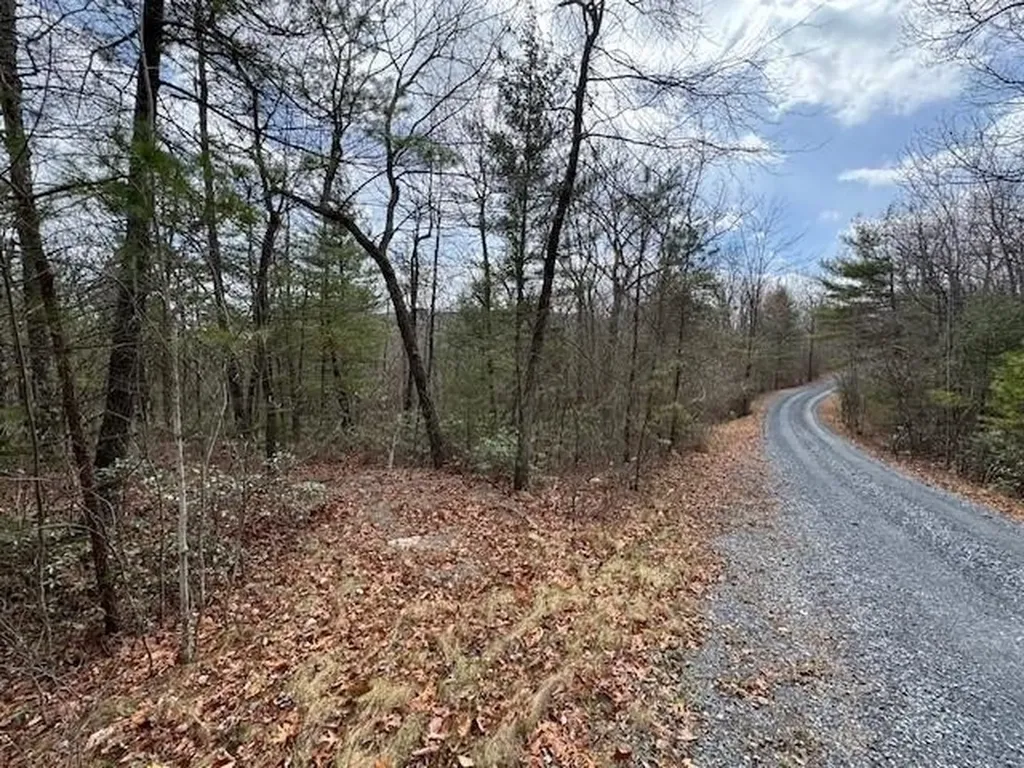 Lot 45 Fetterbush Lane Hinton VA 22831