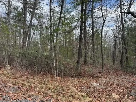 Lot 45 Fetterbush Lane Hinton VA 22831