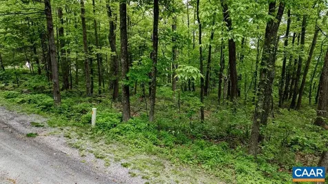 7 & 23 Wolftrap Lane Wintergreen Resort VA 22967