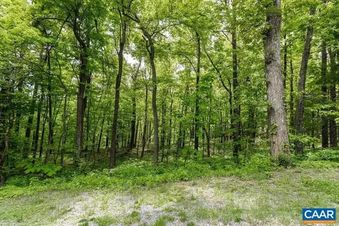 7 & 23 Wolftrap Lane Wintergreen Resort VA 22967
