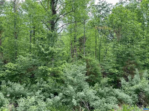 Lot B And C Montview Drive Ruckersville VA 22968