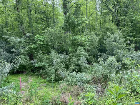 Lot B And C Montview Drive Ruckersville VA 22968