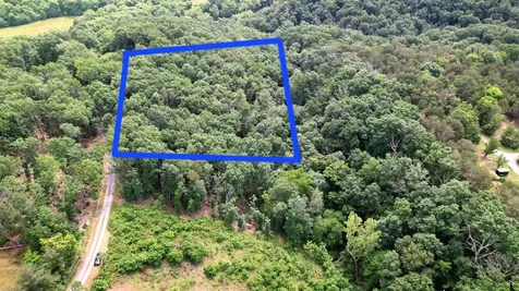 Lot 40 Off View Drive N Stanley VA 22851