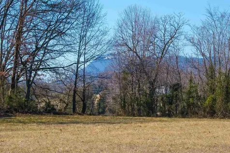 Tbd Spotswood Trail N Elkton VA 22827
