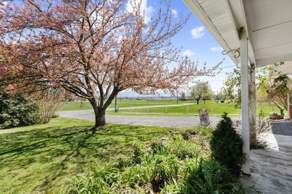 2447 Rittenour Road Edinburg VA 22824