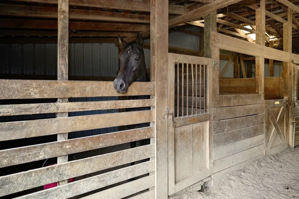 587 Bunker Hill Mill Road Lexington VA 24450