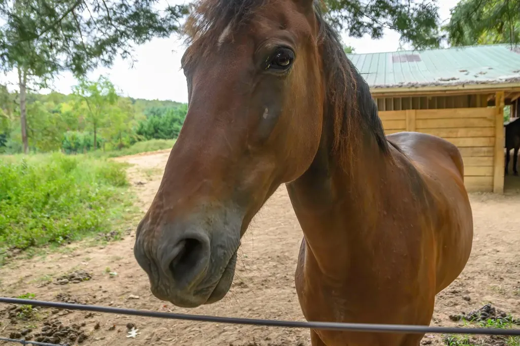 587 Bunker Hill Mill Road Lexington VA 24450