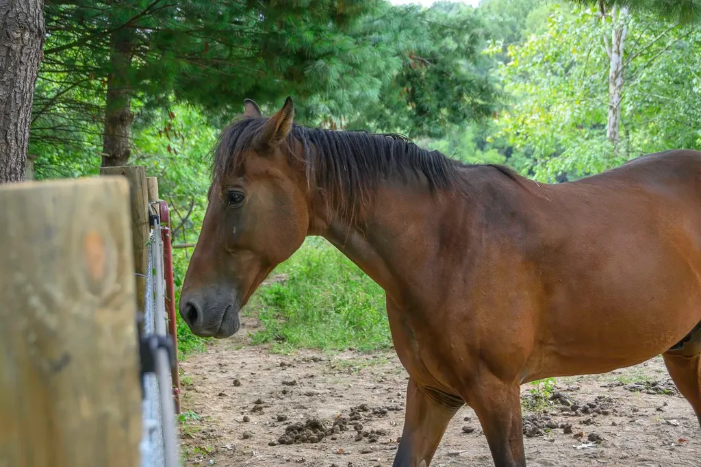 587 Bunker Hill Mill Road Lexington VA 24450