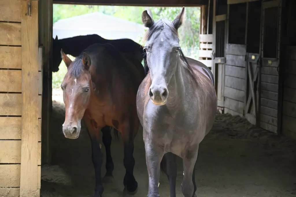 587 Bunker Hill Mill Road Lexington VA 24450