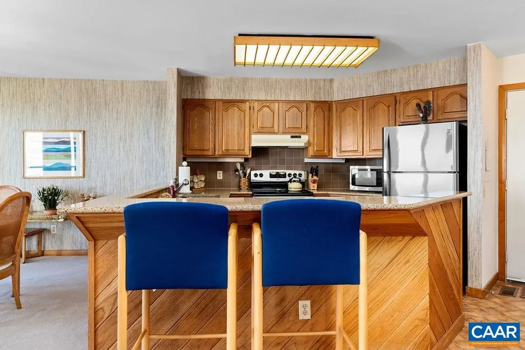 1556 Vistas Condos Wintergreen VA 22967