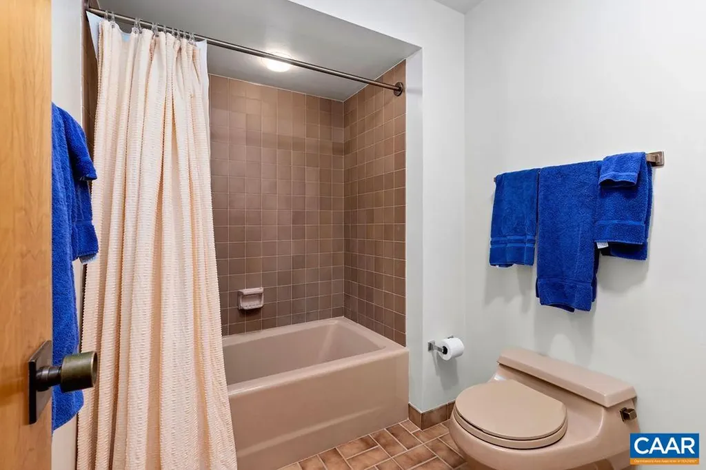 1556 Vistas Condos Wintergreen VA 22967