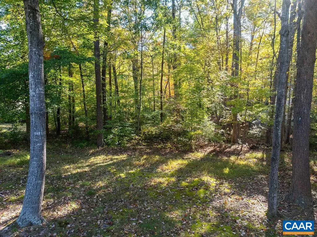 17 Hatchechubee Road Palmyra VA 22963