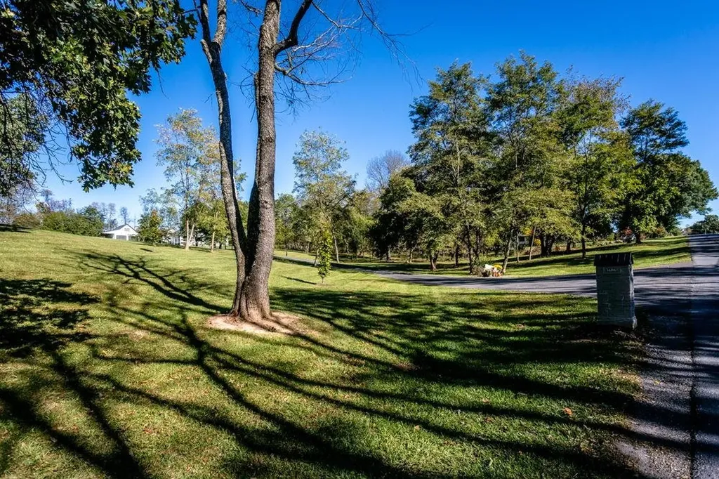 3606 Winsinger Drive Broadway VA 22815