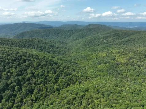 Lot 2 Price Ridge Road Stanley VA 22851