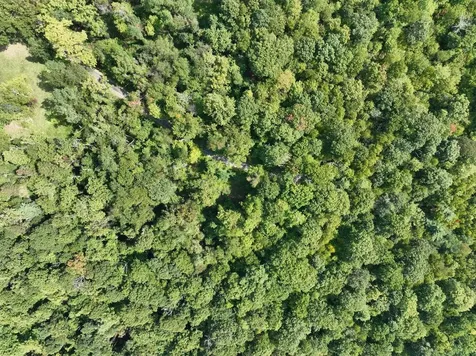 Lot 2 Price Ridge Road Stanley VA 22851