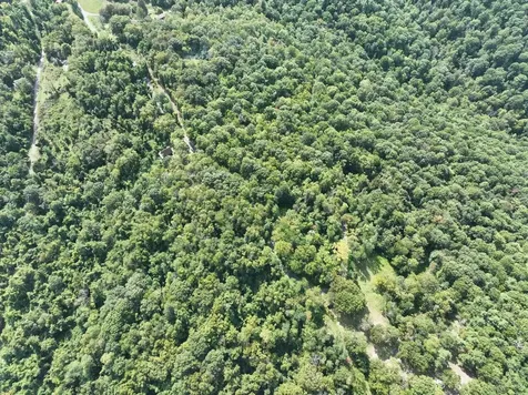 Lot 2 Price Ridge Road Stanley VA 22851