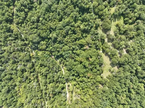 Lot 2 Price Ridge Road Stanley VA 22851