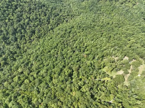 Lot 2 Price Ridge Road Stanley VA 22851