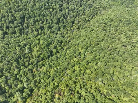 Lot 2 Price Ridge Road Stanley VA 22851